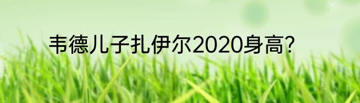韦德儿子扎伊尔2020身高？