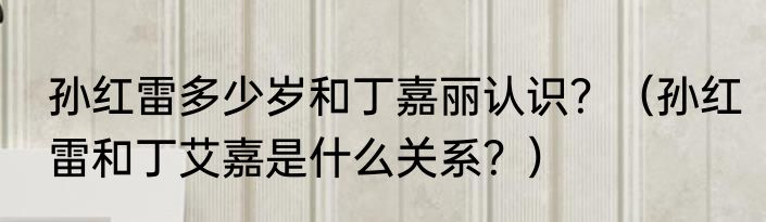 孙红雷多少岁和丁嘉丽认识？（孙红雷和丁艾嘉是什么关系？）