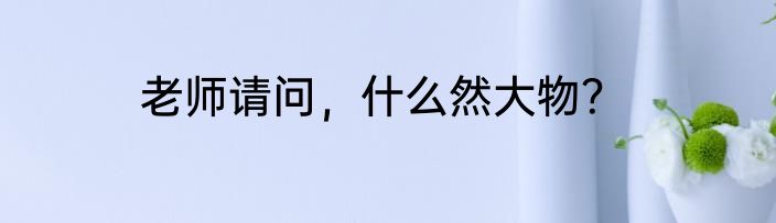 老师请问，什么然大物？