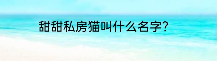 甜甜私房猫叫什么名字？