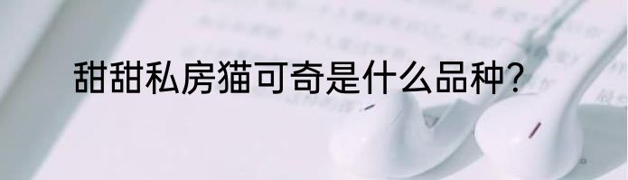 甜甜私房猫可奇是什么品种？