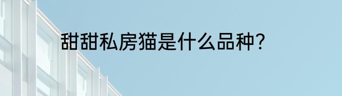 甜甜私房猫是什么品种？