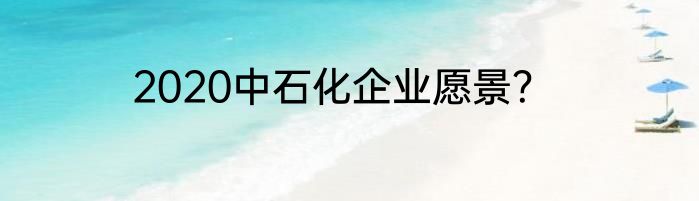 2020中石化企业愿景？