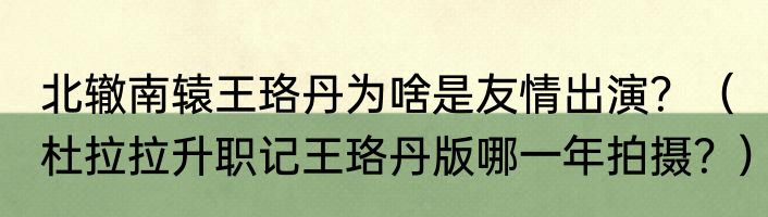 北辙南辕王珞丹为啥是友情出演？（杜拉拉升职记王珞丹版哪一年拍摄？）