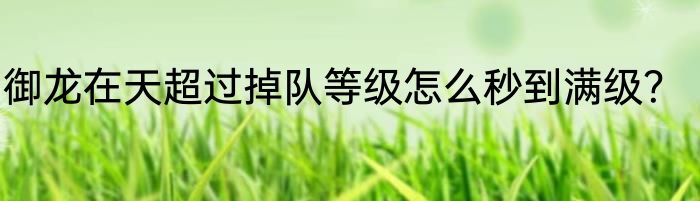 御龙在天超过掉队等级怎么秒到满级？