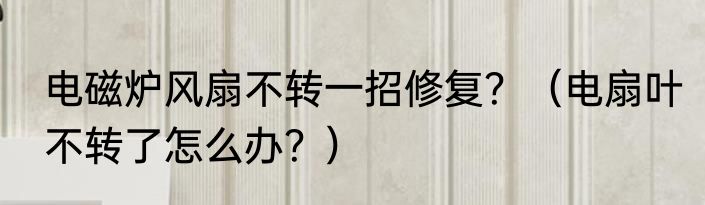 电磁炉风扇不转一招修复？（电扇叶不转了怎么办？）