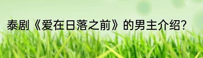 泰剧《爱在日落之前》的男主介绍？