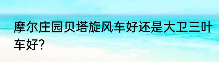 摩尔庄园贝塔旋风车好还是大卫三叶车好？