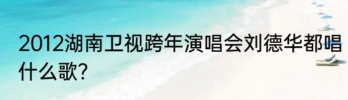 2012湖南卫视跨年演唱会刘德华都唱什么歌？