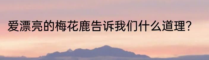 爱漂亮的梅花鹿告诉我们什么道理？