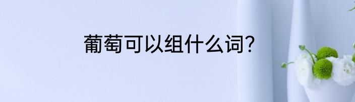 葡萄可以组什么词？