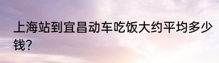 上海站到宜昌动车吃饭大约平均多少钱？