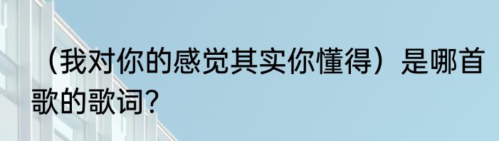 （我对你的感觉其实你懂得）是哪首歌的歌词？