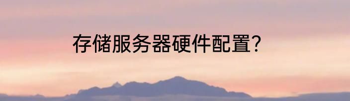 存储服务器硬件配置？