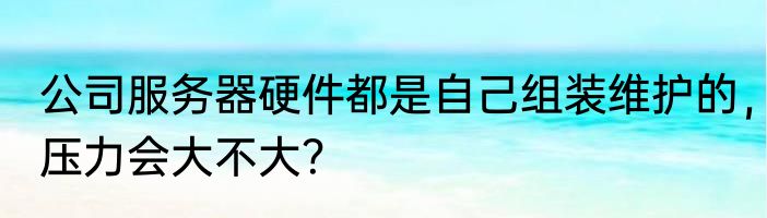 公司服务器硬件都是自己组装维护的，压力会大不大？