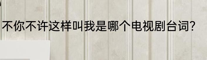 不你不许这样叫我是哪个电视剧台词？