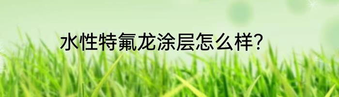 水性特氟龙涂层怎么样？