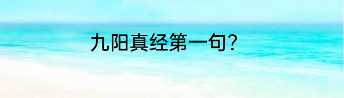 九阳真经第一句？