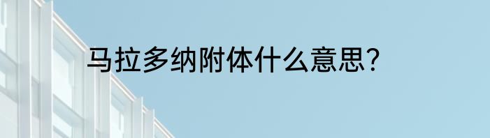 马拉多纳附体什么意思？