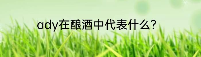ady在酿酒中代表什么？