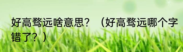 好高骛远啥意思？（好高骛远哪个字错了？）