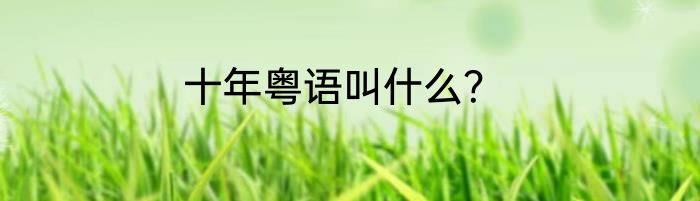 十年粤语叫什么？