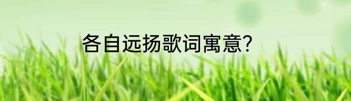 各自远扬歌词寓意？