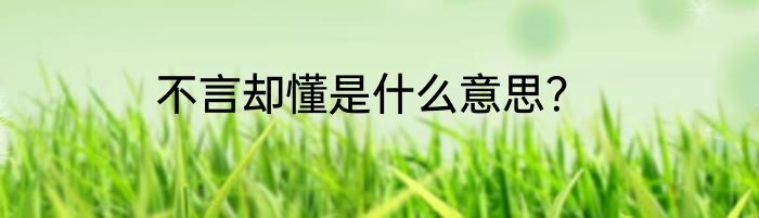 不言却懂是什么意思？