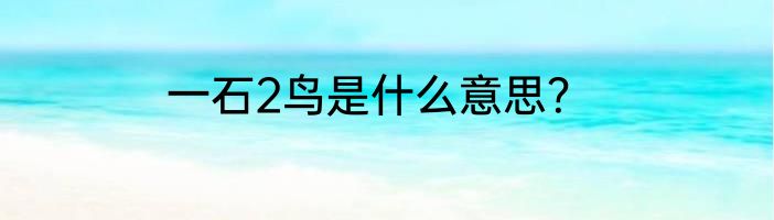 一石2鸟是什么意思？