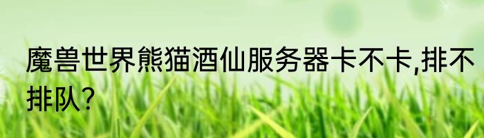 魔兽世界熊猫酒仙服务器卡不卡,排不排队？