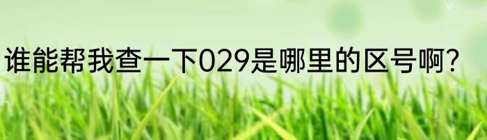 谁能帮我查一下029是哪里的区号啊？