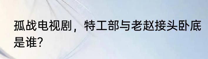 孤战电视剧，特工部与老赵接头卧底是谁？