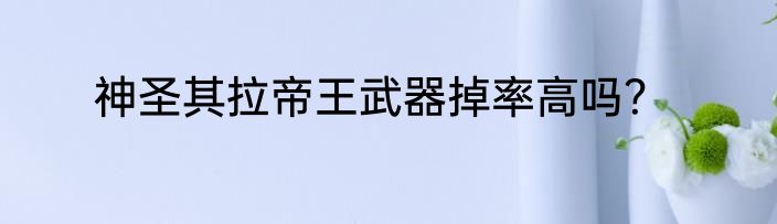 神圣其拉帝王武器掉率高吗？
