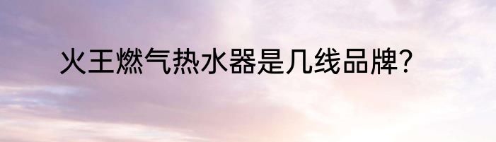 火王燃气热水器是几线品牌？
