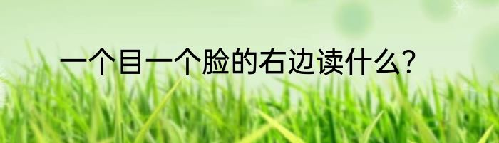 一个目一个脸的右边读什么？