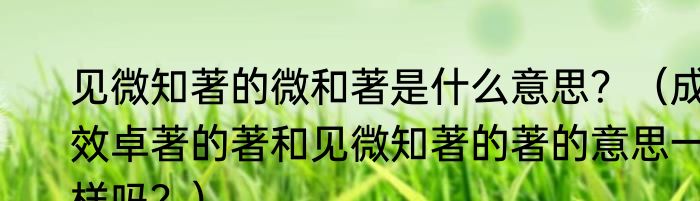 见微知著的微和著是什么意思？（成效卓著的著和见微知著的著的意思一样吗？）