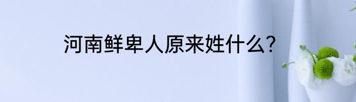 河南鲜卑人原来姓什么？