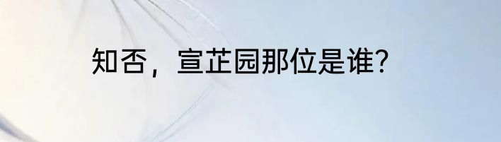 知否，宣芷园那位是谁？