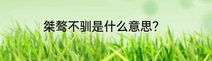 桀骜不驯是什么意思？