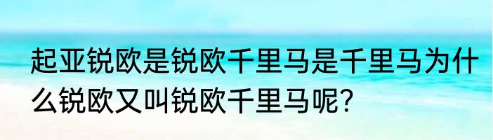 起亚锐欧是锐欧千里马是千里马为什么锐欧又叫锐欧千里马呢？