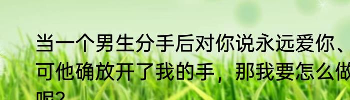 当一个男生分手后对你说永远爱你、可他确放开了我的手，那我要怎么做呢？