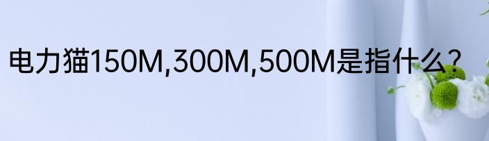 电力猫150M,300M,500M是指什么？