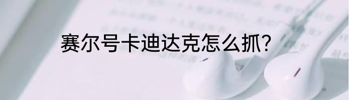 赛尔号卡迪达克怎么抓？