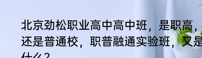 北京劲松职业高中高中班，是职高，还是普通校，职普融通实验班，又是什么？