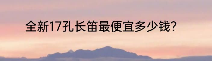 全新17孔长笛最便宜多少钱？