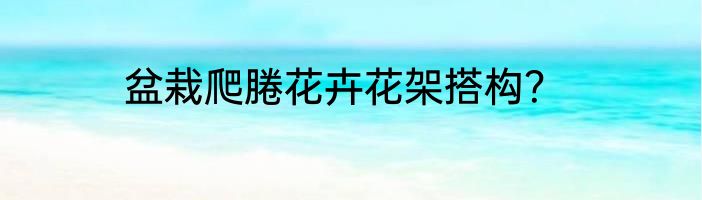 盆栽爬腃花卉花架搭构？