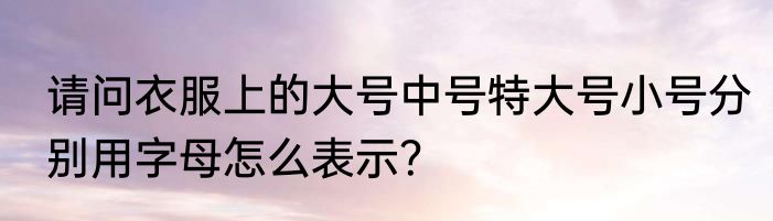 请问衣服上的大号中号特大号小号分别用字母怎么表示？