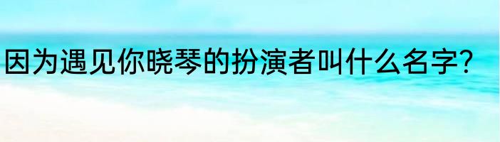 因为遇见你晓琴的扮演者叫什么名字？