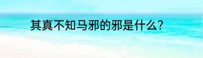 其真不知马邪的邪是什么？
