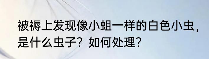 被褥上发现像小蛆一样的白色小虫，是什么虫子？如何处理？